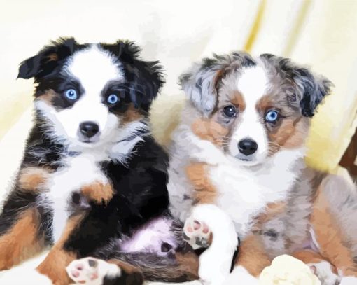 Toy Aussie paint by number