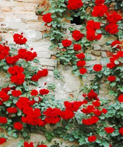 Wall Of Red Roses paint by number