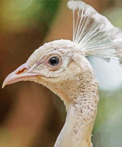 White Peacock Head paint by number