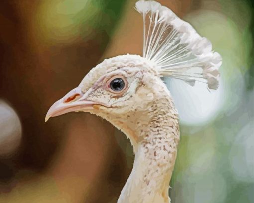 White Peacock Head paint by number