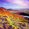 Yorkshire Moorland Landscape View paint by number