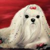 Aesthetic Maltese Dog paint by number