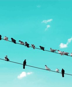 Aesthetic Birds On A Line paint by number