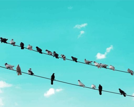 Aesthetic Birds On A Line paint by number