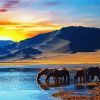 Animals Horses In River paint by number