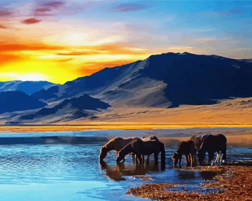 Animals Horses In River paint by number