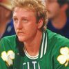 Basketballer Larry Bird paint by number