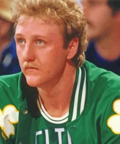 Basketballer Larry Bird paint by number