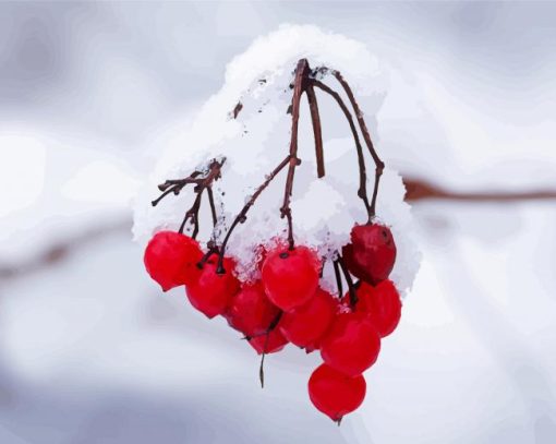 Berries In Winter paint by number