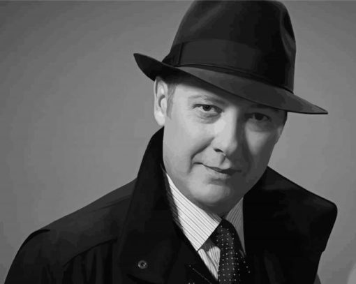 Black And White Raymond Reddington paint by number