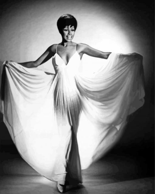 Black And White Diahann Carroll paint by number