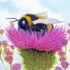 Bumble Bee Thistle Art paint by number