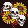 Cool Skulls Sunflower paint by number