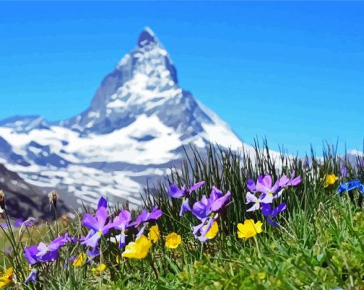 Flowers And Mountains In Switzerland paint by number