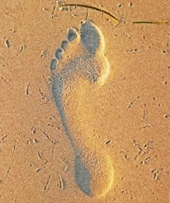 Footprint Sand Beach paint by number