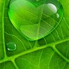 Green Love Leaf paint by number