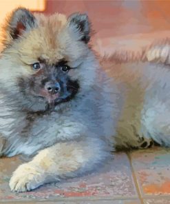 Keeshond Puppy Dog paint by number