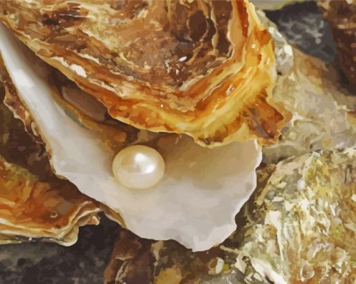 Oyster Pearl paint by number
