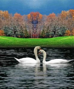 Romantic Swan Landscape paint by number