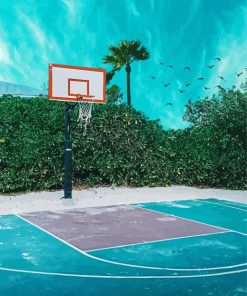 Sport Basketball Court paint by number