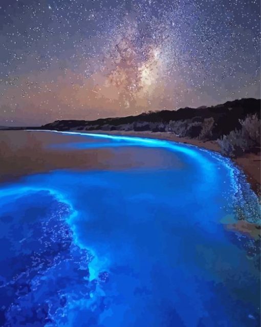 Starry Night Glowing Algae paint by number