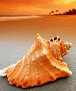 Sunset Seashells On Beach paint by number