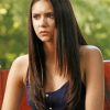 Vampire Diaries Elena Gilbert paVampire Diaries Elena Gilbert paint by number