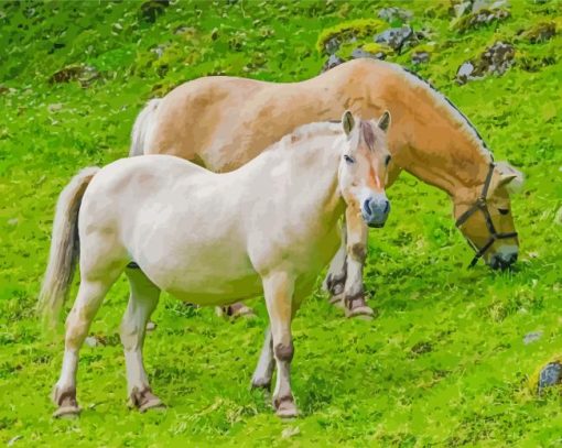 Wild Norwegian Fjord Horses paint by number