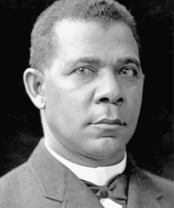 Aesthetic Booker Washington paint by number