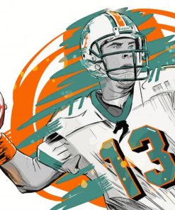 Aesthetic Miami Dolphins Paint By Numbers