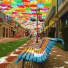 City Street And Umbrellas Paint By Numbers