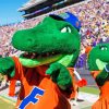 Florida Gators Football Mascots Paint By Numbers