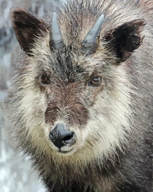 Japanese Serow Animal paint by number