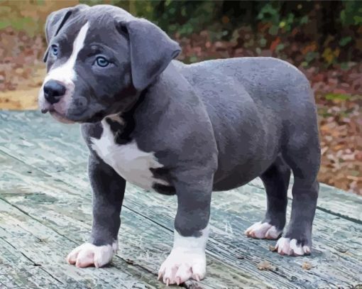 Pit Bull Puppy paint by number