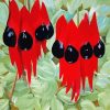 Sturt Desert Pea Plant Paint By Numbers