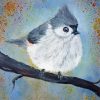 Titmouse paint by number