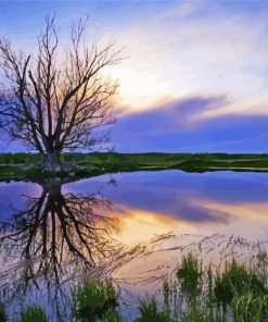 Water And Trees At Sunset Paint By Numbers