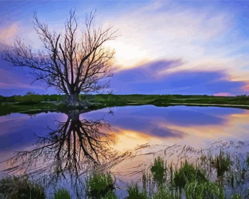 Water And Trees At Sunset Paint By Numbers