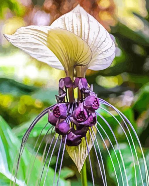 White Bat Flowers Paint By Numbers