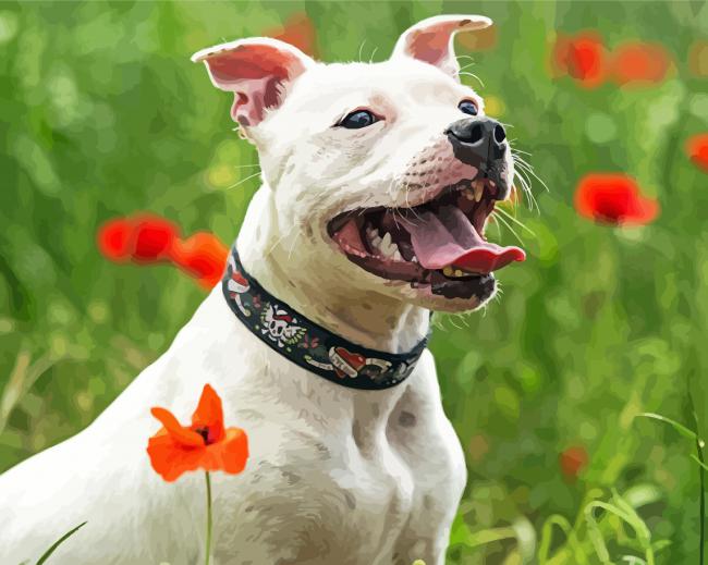 White Staffie Dog paint by number