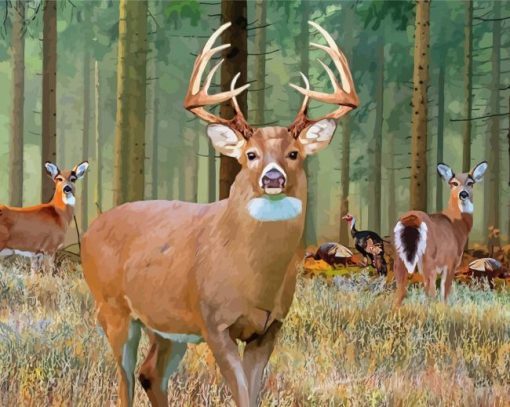 Whitetail Deer paint by number