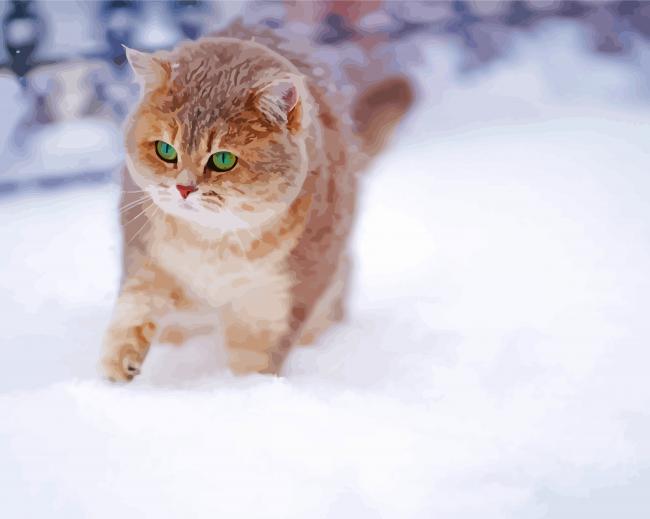 Winter Cat paint by number