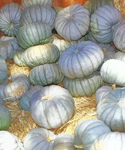 Aesthetic Blue Pumpkins paint by number