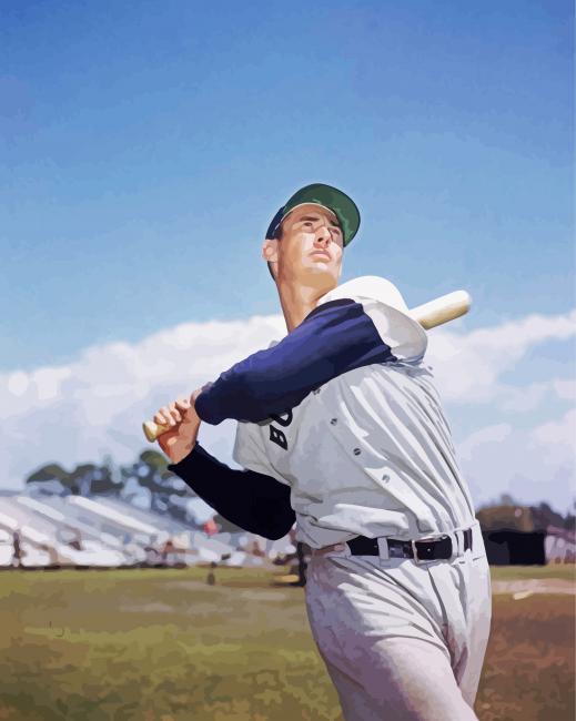 Baseballer Ted William paint by number