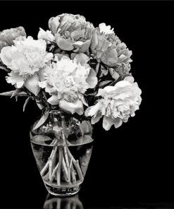 Black And White Flower Vase paint by number