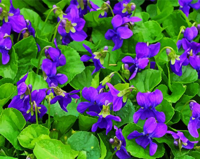 Blue Violet Flowers paint by number