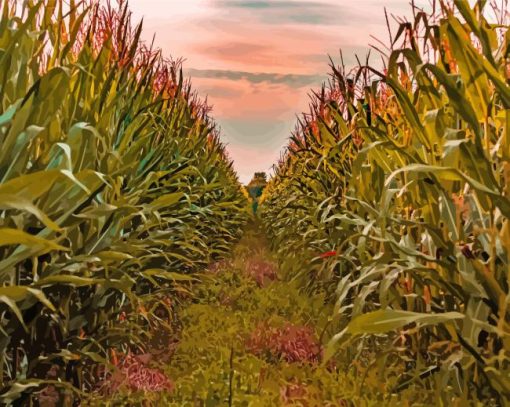 Corn Farm Field Sunset paint by number