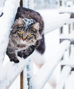 Cute Cat And Snow paint by number