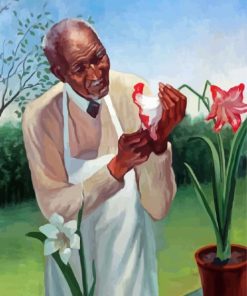 George Washington Carver Plant Doctor Paint By Numbers