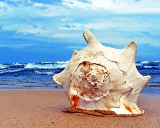 Giant Beach Shells Paint By Numbers